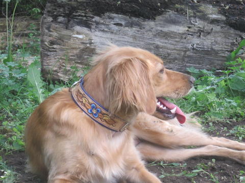 11061431jq.jpg