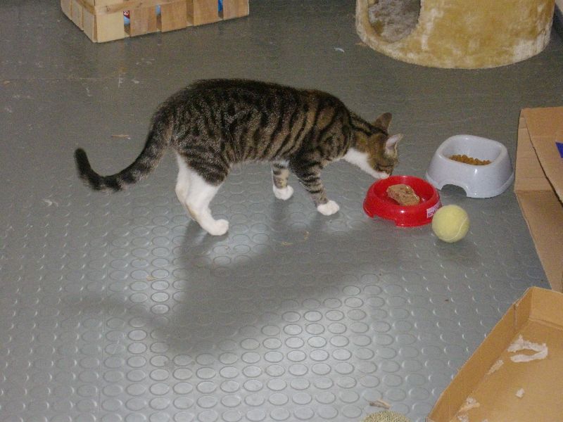 11223253hs.jpg