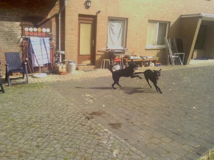 Bild