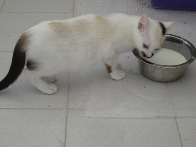 12163995hh.jpg