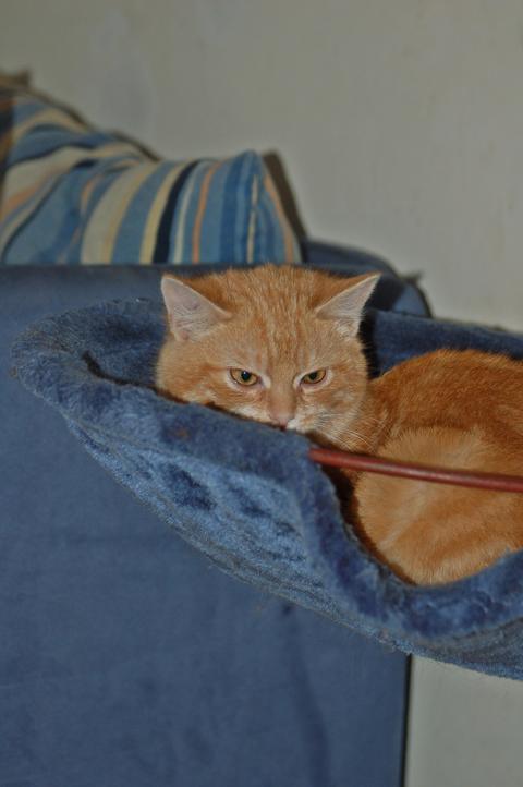 13174828px.jpg