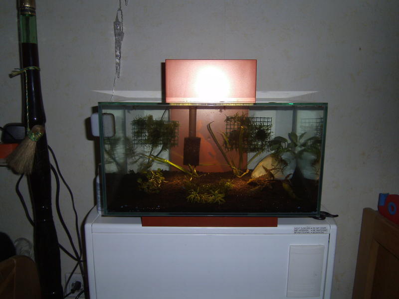 14503183lr.jpg