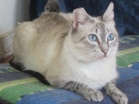 14904700lr.jpg