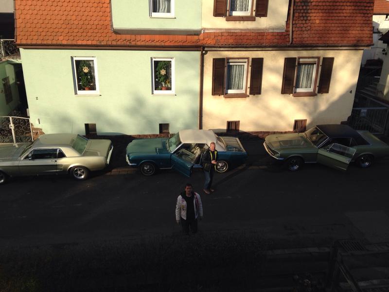 Bild