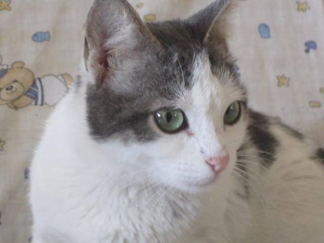 21822272di.jpg