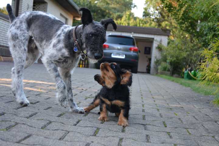 Bild
