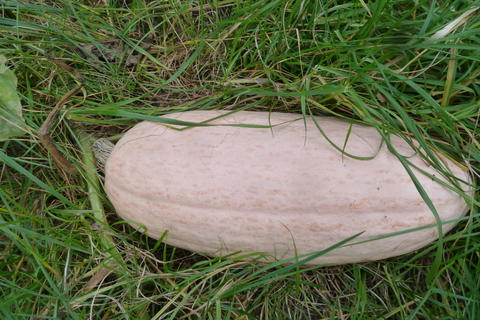 [Bild: 23294072zb.jpg]