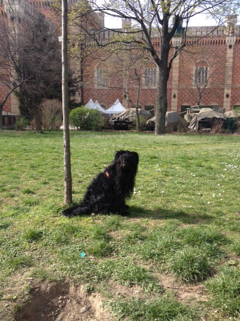 Bild
