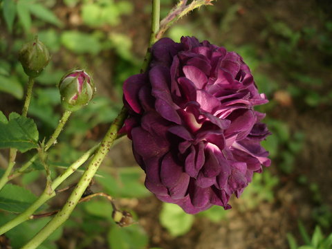 [Bild: 28067575vp.jpg]