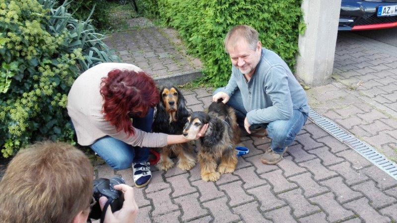 Bild