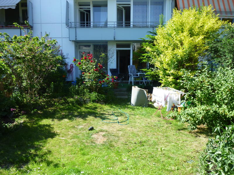 Bild