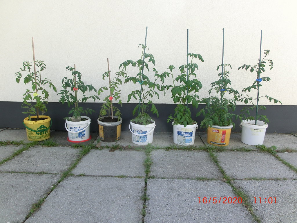 [Bild: 38547197ou.jpg]