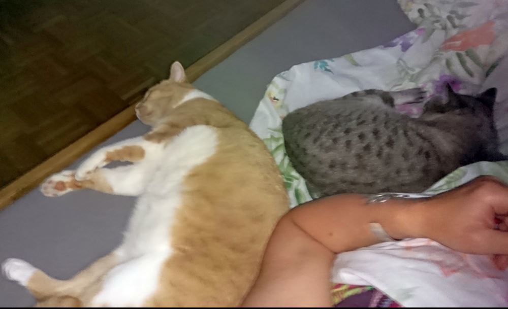 39588612pz.jpg