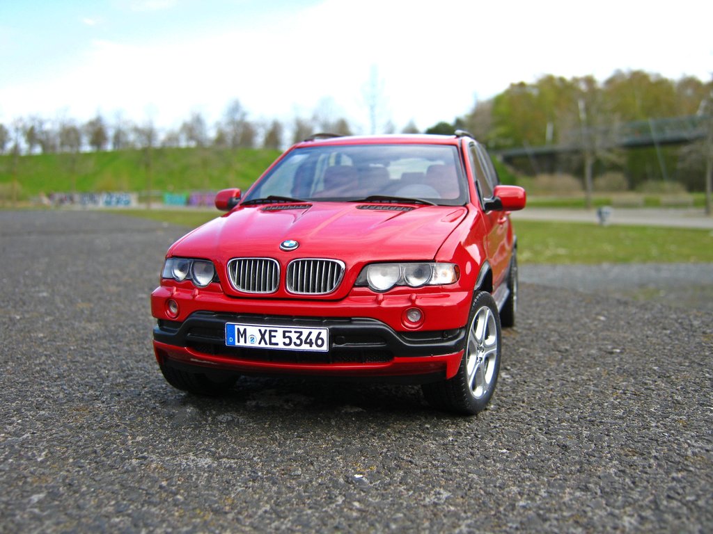 45297303dd.jpg