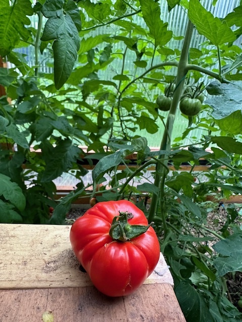 [Bild: 48097596sj.jpg]