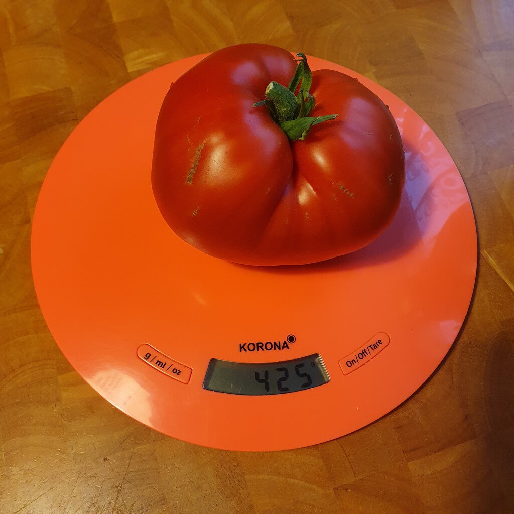 [Bild: 48429327pl.jpg]