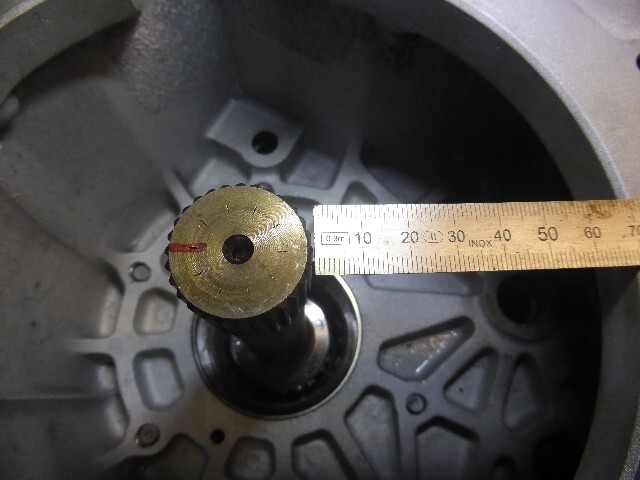 48927603qz.jpg