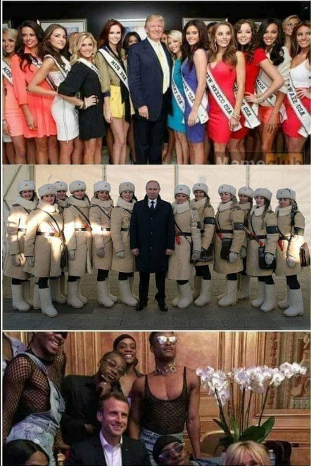 https://up.picr.de/49353499oh.png