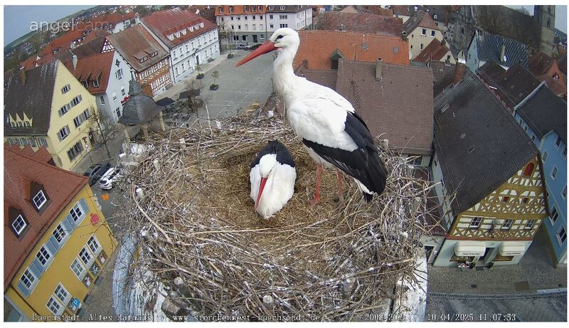 Bild